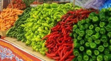 تفاوت الأسعار.. الطماطم 12.5 والبطاطس 10 جنيهات في سوهاج اليوم